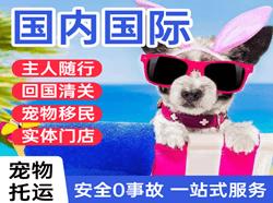 日照山字河机场托运国际宠物托运 【国